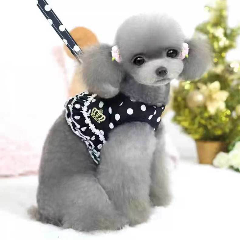 Cross-border Pet Dog Traction Rope Vest Dog Walking Rope Teddy Small Dog Wave Point Chest Strap Cat Traction Rope